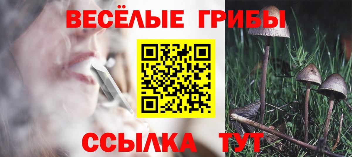 Отрадное  Псилоцибиновые грибы Magic Shrooms  Вход с VPN 